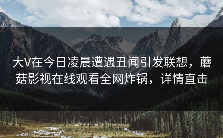 大V在今日凌晨遭遇丑闻引发联想，蘑菇影视在线观看全网炸锅，详情直击