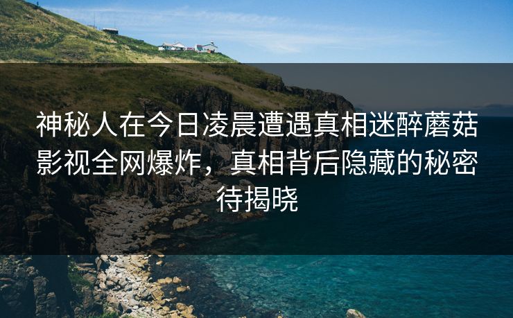 神秘人在今日凌晨遭遇真相迷醉蘑菇影视全网爆炸,真相背后隐藏的秘密待揭晓 神秘人在今日凌晨遭遇真相迷醉蘑菇影视全网爆炸,真相背后隐藏的秘密待揭晓