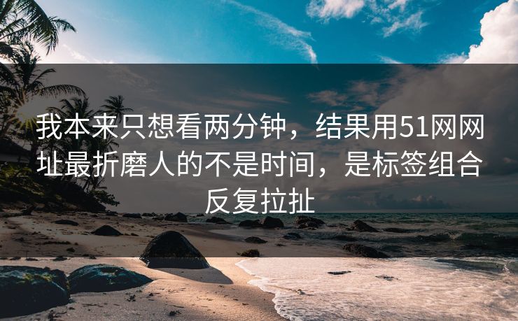我本来只想看两分钟，结果用51网网址最折磨人的不是时间，是标签组合反复拉扯